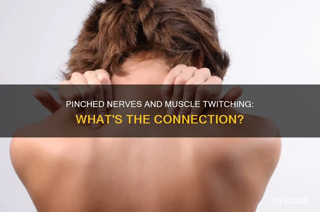 do pinched nerves cause muscle twitching