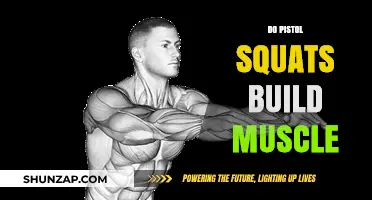Unlocking Lower Body Strength: Do Pistol Squats Really Build Muscle?