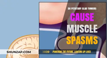 Pituitary Tumors: Can They Cause Muscle Spasms?