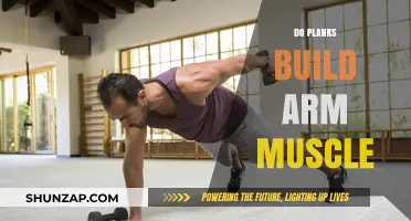 Unlocking Arm Strength: The Surprising Benefits of Plank Exercises