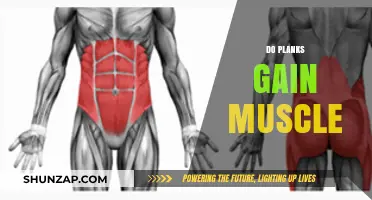 Do Planks Build Muscle? Unlocking Core Strength and Growth Potential