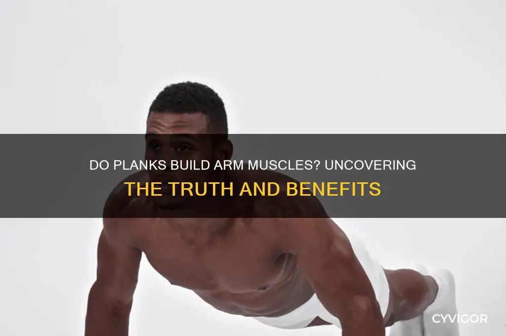 do planks give you arm muscles