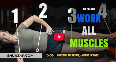Planks: Full-Body Muscle Engagement or Just Core Workout?