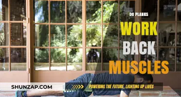 Planks and Back Strength: Do They Really Work Your Back Muscles?