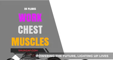 Planks and Chest Muscles: Unlocking the Truth Behind the Burn