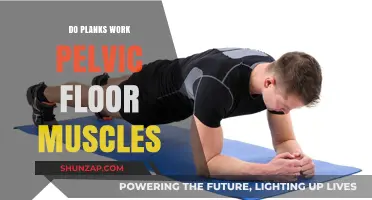 Planks and Pelvic Floor: Strengthening Benefits Explained