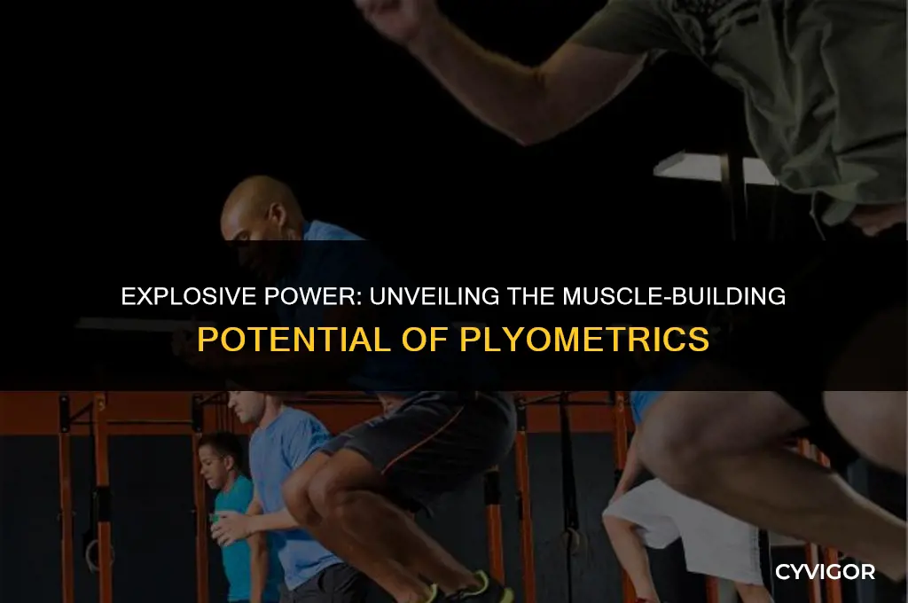 do plyometrics build muscle