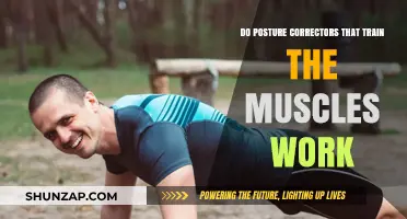 Do Posture Correctors Effectively Train Muscles for Better Alignment?