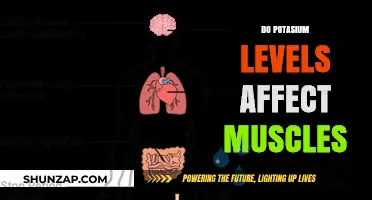 Exploring the Impact of Potassium Levels on Muscle Function