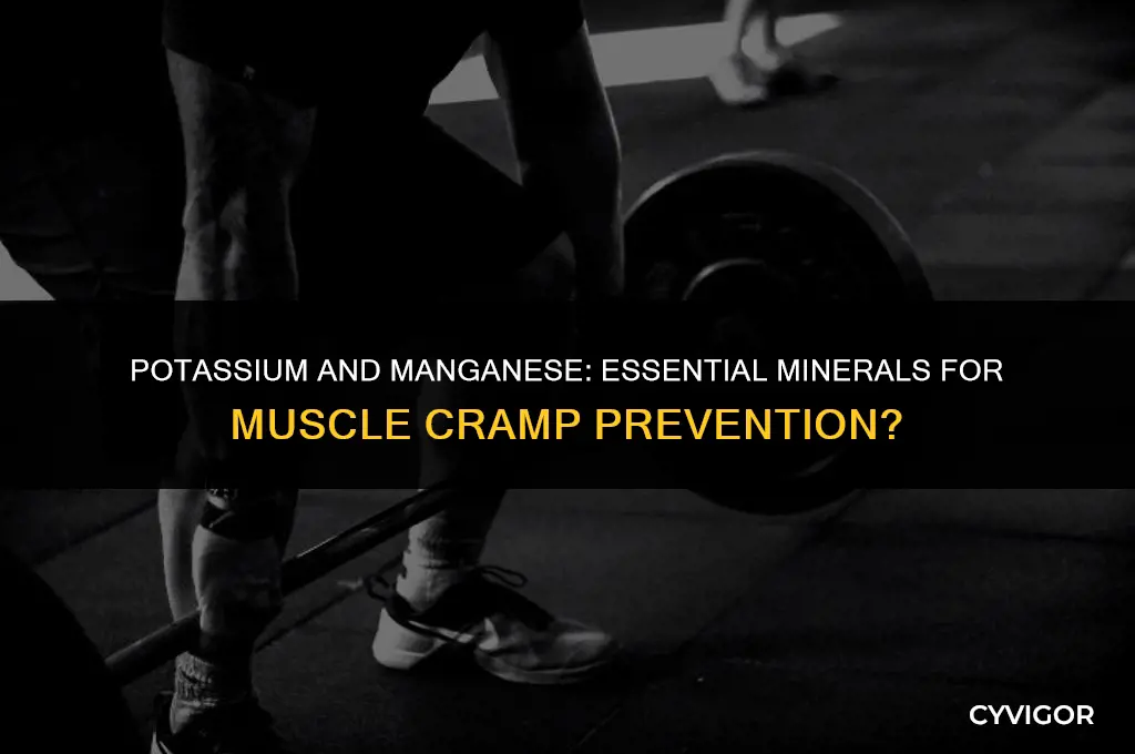 do potassium and manganese prevent muscle cramps