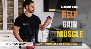 Can Powder Shakes Effectively Boost Muscle Gain? Expert Insights