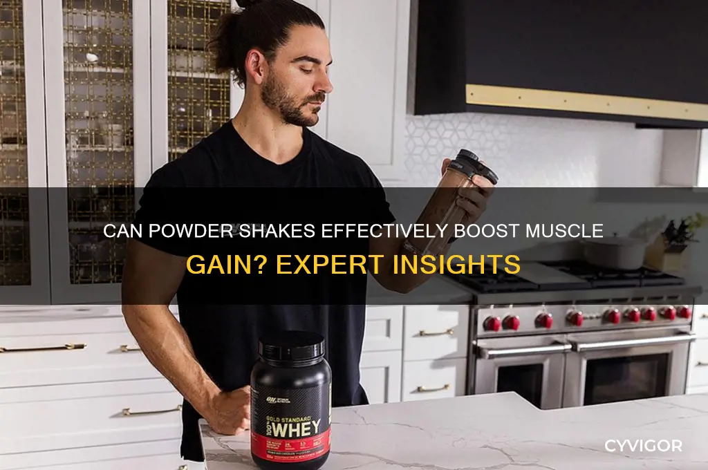 do powder shakes help gain muscle