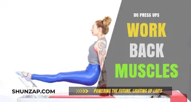 Do Press Ups Engage and Strengthen Your Back Muscles?