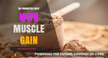 Probiotics and Muscle Gain: Unlocking the Gut-Muscle Connection