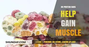 Can Protein Bars Effectively Support Muscle Gain? A Comprehensive Guide