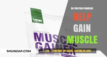 Protein Powders and Muscle Gain: Fact or Fiction?