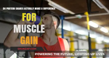 Protein Shakes and Muscle Gain: Fact or Fiction?