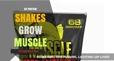 Do Protein Shakes Build Muscle? Facts, Myths, and Science Explained