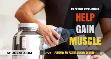 Protein Supplements: Effective Muscle Gain Tool or Overhyped Myth?