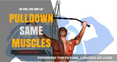 Pull-Ups vs. Lat Pulldowns: Targeting the Same Muscles?