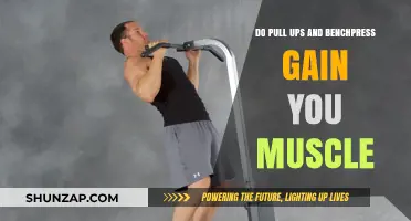 Pull-Ups vs. Bench Press: Which Builds More Muscle Mass?
