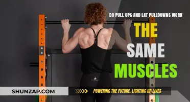Pull-Ups vs. Lat Pulldowns: Targeting the Same Muscles?