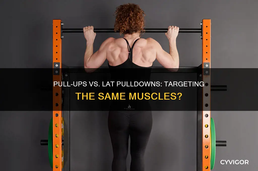 do pull ups and lat pulldowns work the same muscles