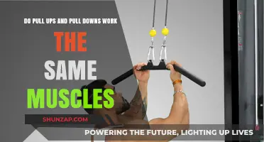 Pull-Ups vs. Pull-Downs: Targeting the Same Muscles or Different?