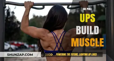 Unlocking Strength: The Muscle-Building Power of Pull-Ups Revealed