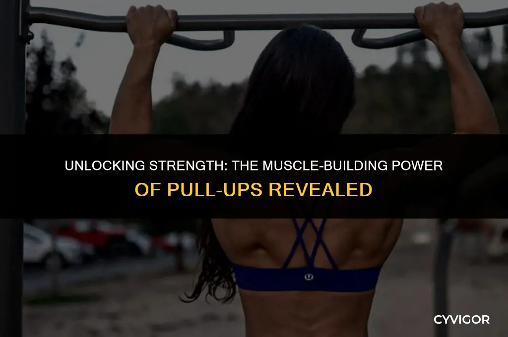 do pull ups build muscle