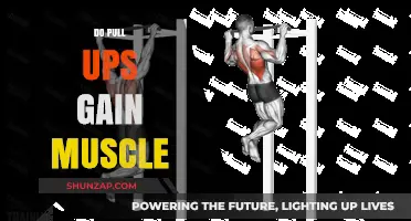 Do Pull-Ups Build Muscle? Unlocking Strength and Growth Benefits