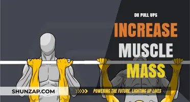 Do Pull-Ups Build Muscle Mass? Unlocking Strength and Growth
