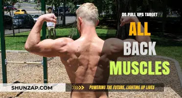 Do Pull-Ups Engage Every Back Muscle? A Comprehensive Analysis