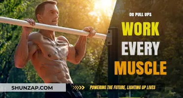 Pull-Ups: The Ultimate Full-Body Workout or Targeted Exercise?