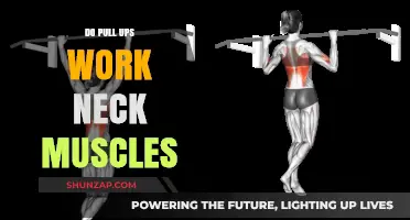 Do Pull-Ups Engage Neck Muscles? Unveiling the Truth