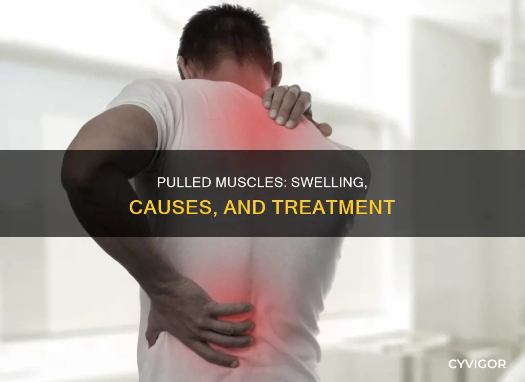 do pulled muscles cause swelling