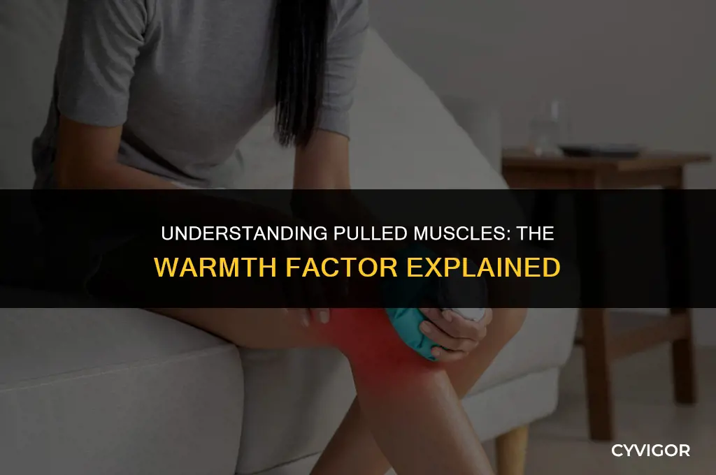 do pulled muscles get warm
