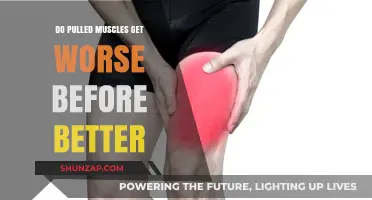 Pulled Muscles: Understanding the Healing Process and Recovery Timeline