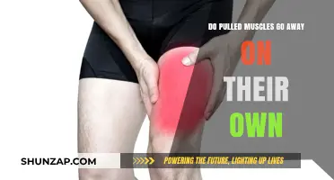 Pulled Muscles: Self-Healing Process and Recovery Time Explained
