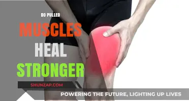 Pulled Muscles: Do They Heal Stronger? Unraveling the Recovery Myth