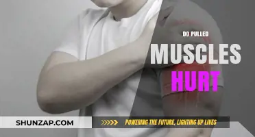 Do Pulled Muscles Hurt? Understanding Pain, Recovery, and Relief