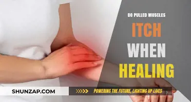 Pulled Muscles and Itching: Understanding the Healing Process