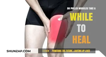 How Long Does Pulled Muscle Recovery Really Take? Healing Insights