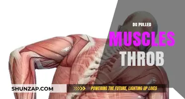 Do Pulled Muscles Throb? Understanding Persistent Pain and Recovery