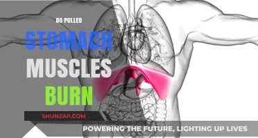 Pulled Stomach Muscles: Understanding the Burning Sensation and Recovery