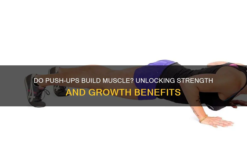do push up gain muscle