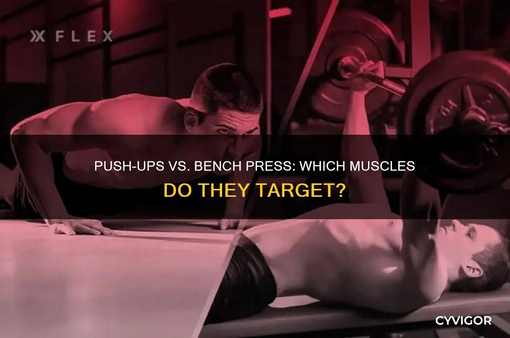 do push ups and bench press work the same muscles