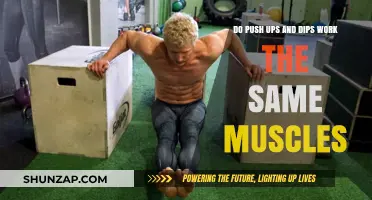 Push-Ups vs. Dips: Which Exercise Targets Similar Muscle Groups?