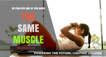 Push-Ups vs. Sit-Ups: Which Muscles Do They Really Target?