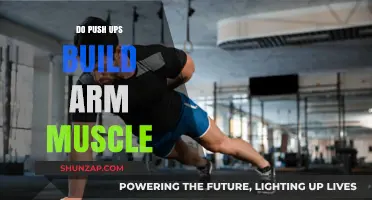 Unlocking Arm Strength: The Power of Push-Ups Revealed